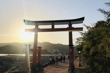 Traditional Japan with a Tropical Touch