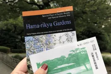 What to Do with a Day in Tokyo 