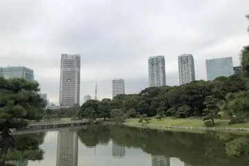 Hamarikyu Gardens - an oasis in the middle of the city.