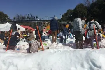 I'm not sure how they keep the snow in t-shirt weather.