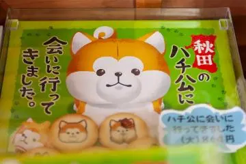 The Akita Dog Visitor Center was opened across from Odate Station in 2019 where you can take photos of the dogs and enjoy a large selection of Akita themed souvenirs.