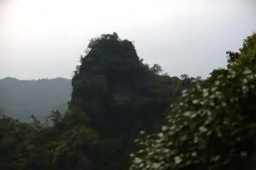 <p>A huge rock near Nenbutsu bridge</p>