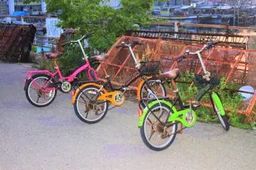 Bicycles available for rental