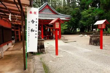 Gallery image