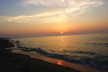 <p>Les gens oublient souvent le fait que les dunes conduisent &agrave; une tr&egrave;s belle plage</p>