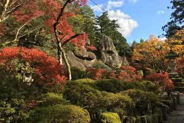 Stunning autumn colors