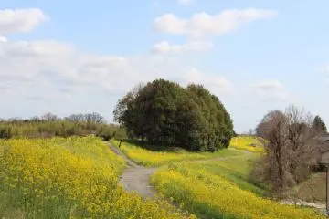 There are old country roads in parts, that are still used by locals