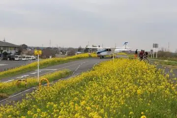 The Aviation center is part of the private Honda Airport, so you can often also see airplanes. 