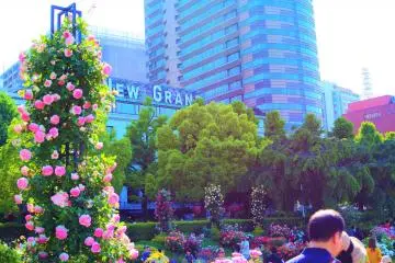 Hotel New Ground