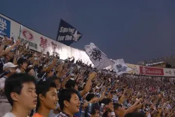 The Baystars faithful go wild after a run