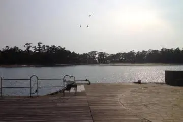 Harbour