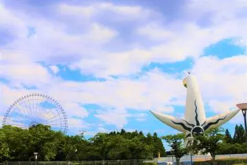 A lovely view