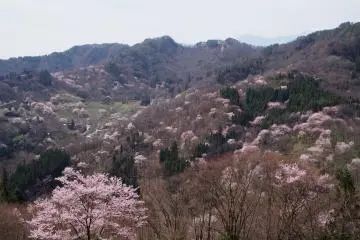 Osenkyo