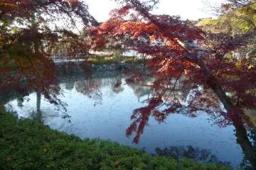 Temple grounds