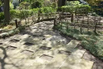 Paved pathway in the park