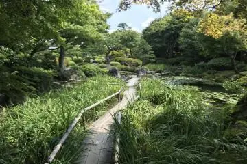 Taman Yushi 