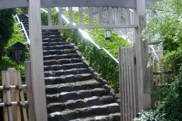 Charming steps 