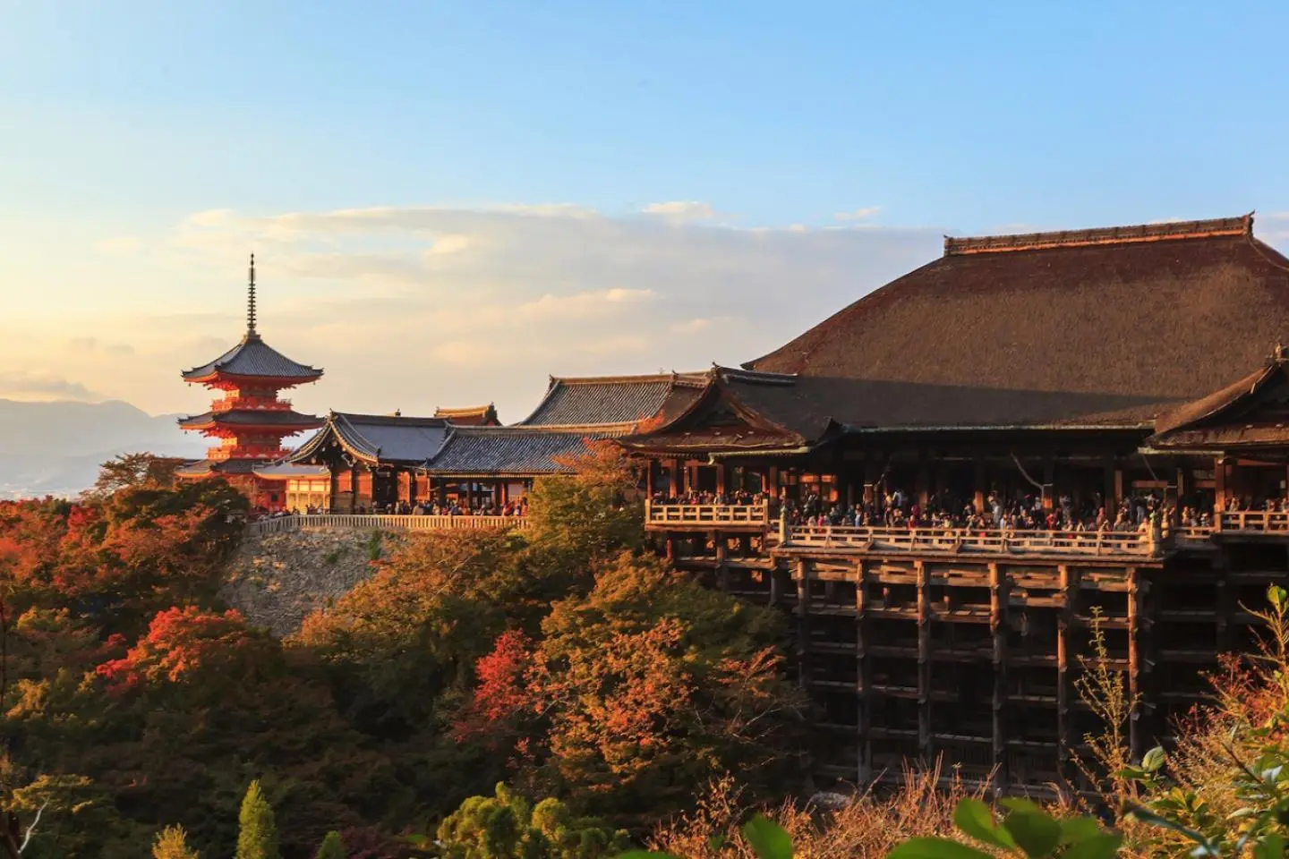 저작권: akarapong / Shutterstock.com