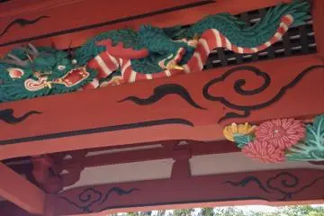 Here be dragons