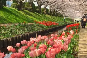 Egawa Walkway