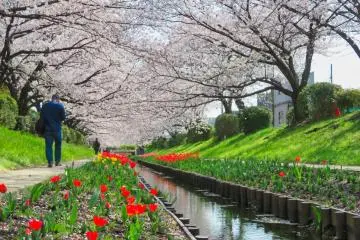 Egawa waterway