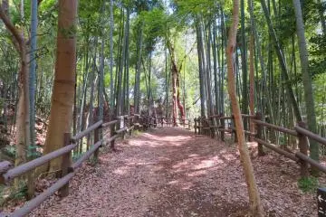 Kozukue Castle Ruins trail