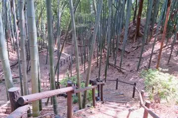 Kazukue Castle ruins steps down to the moat