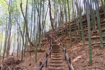 Kozukue Castle has many steps; Good exercise!