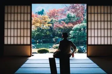 Silhouettes can work well as a contrast in a photo