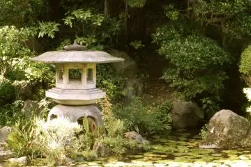 Little lanterns.