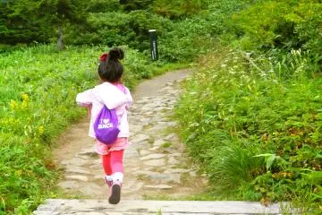 There are beginner's tracks easy enough for kids.