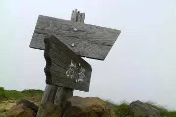 Pointing the way.