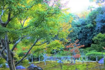 The temple grounds are full of nature