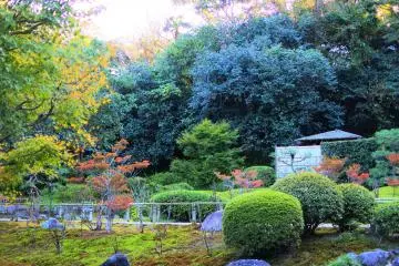The nice scenery of the temple grounds