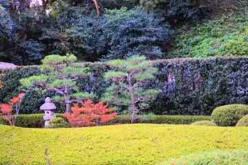 Garden within the temple grounds