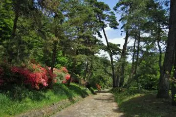 Sur les routes du passé japonais