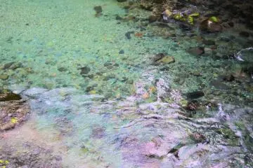 The clean water of the river
