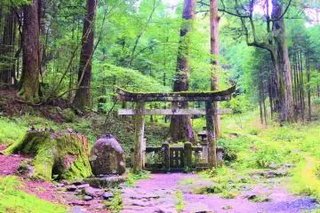 Takino Shrine in Nikko