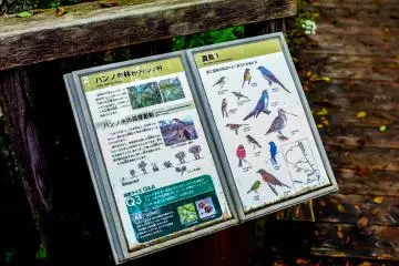 There are various information boards along the path which highlight some of the species you are likely to encounter