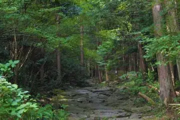  Another view of the Magose-toge Pass