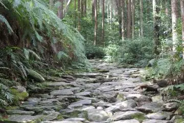 A great shot of the Magose-toge Pass