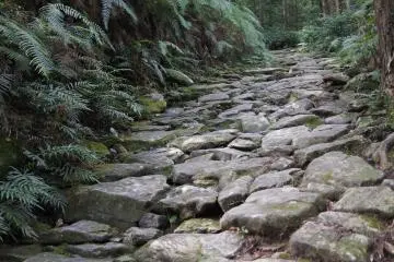 A nice image of the Magose-toge Pass