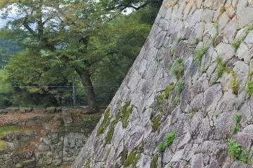 The stone wall