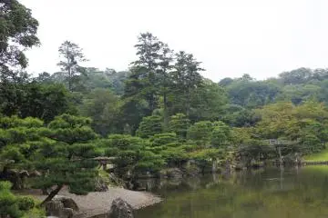 View of the Japanese garden