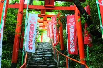The torii towards the main building