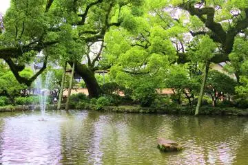 Shinji pond