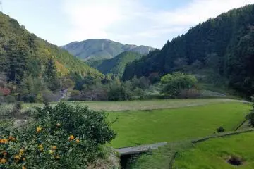 Farmland in Nagaretani