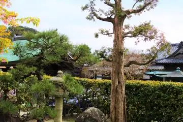 The scenery of the precinct