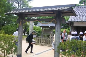 Gallery image