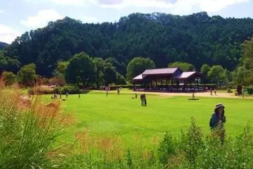 国营飞鸟历史公园